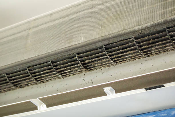 Air Duct Mold Removal in Hershey, PA